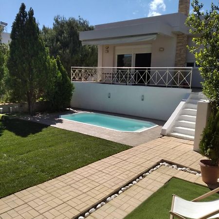 Cozy Villa Vita Lagonisi Kalivia Thorikou Екстериор снимка