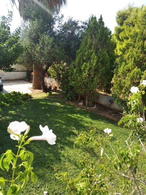 Cozy Villa Vita Lagonisi Kalivia Thorikou Екстериор снимка